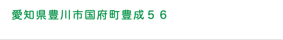 愛知県豊川市国府町豊成５６